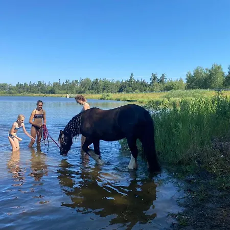 Campeggio Andrella Auszeithof - Schlaferlebnis Im Holzfass *