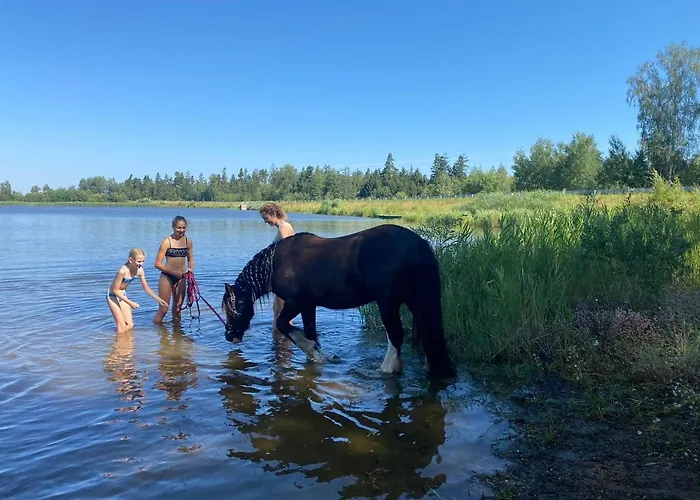 Campsite Andrella Auszeithof - Schlaferlebnis Im Holzfass *