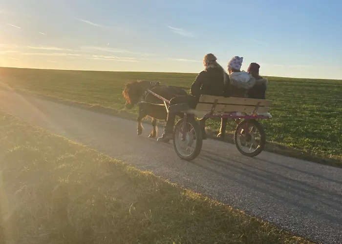 Andrella Auszeithof - Schlaferlebnis Im Holzfass Campsite